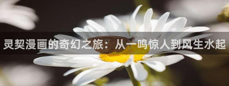 萌师在上漫画奇漫屋：灵契漫画的奇幻之旅：从一鸣惊人到风生水起